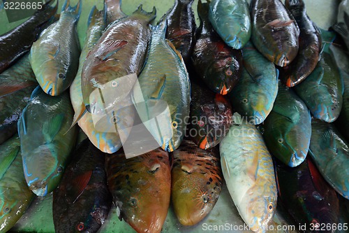 Image of ASIA THAILAND PHUKET MARKT 