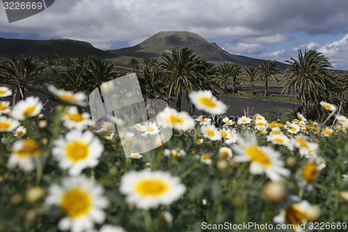 Image of EUROPE CANARY ISLANDS LANZAROTE