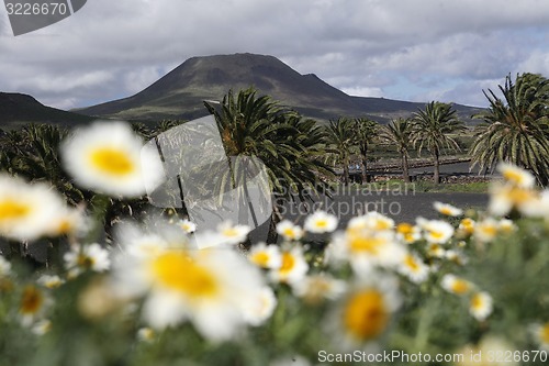 Image of EUROPE CANARY ISLANDS LANZAROTE