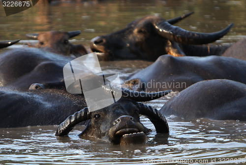 Image of ASIA SOUTHEASTASIA LAOS KHAMMUAN REGION