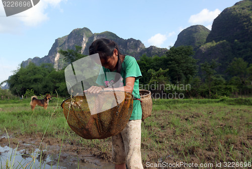 Image of ASIA SOUTHEASTASIA LAOS KHAMMUAN REGION