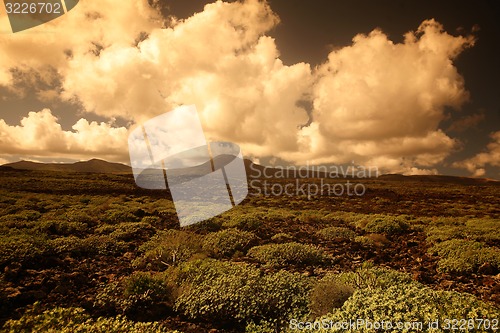 Image of EUROPE CANARY ISLANDS LANZAROTE