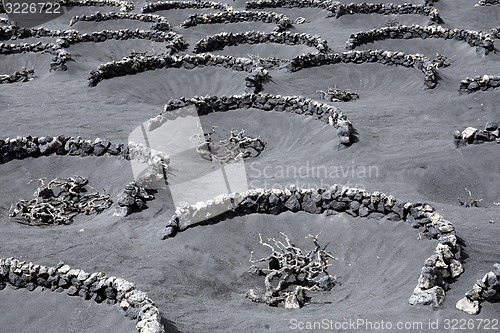 Image of EUROPE CANARY ISLANDS LANZAROTE