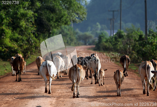 Image of ASIA SOUTHEASTASIA LAOS KHAMMUAN REGION