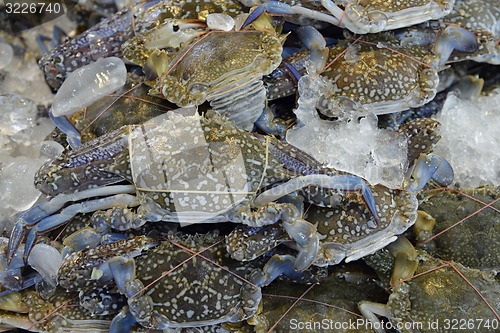 Image of ASIA THAILAND PHUKET MARKT 