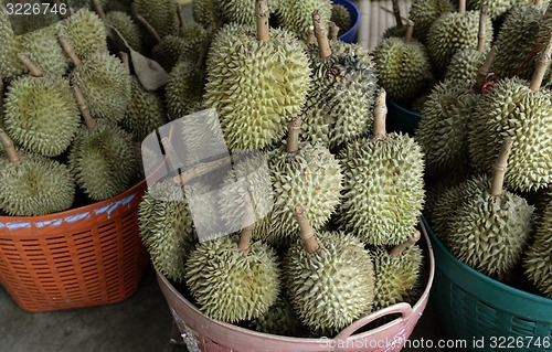 Image of ASIA THAILAND PHUKET MARKT 