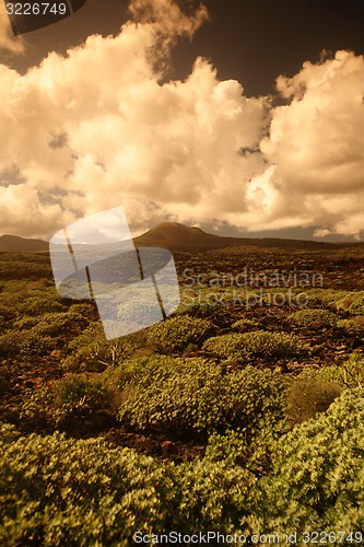 Image of EUROPE CANARY ISLANDS LANZAROTE