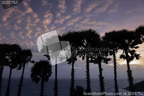 Image of ASIA THAILAND PHUKET RAWAI 
