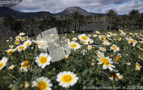 Image of EUROPE CANARY ISLANDS LANZAROTE