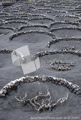 Image of EUROPE CANARY ISLANDS LANZAROTE