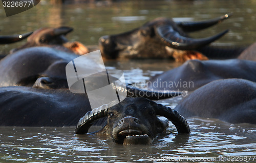 Image of ASIA SOUTHEASTASIA LAOS KHAMMUAN REGION