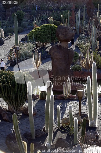 Image of EUROPE CANARY ISLANDS LANZAROTE