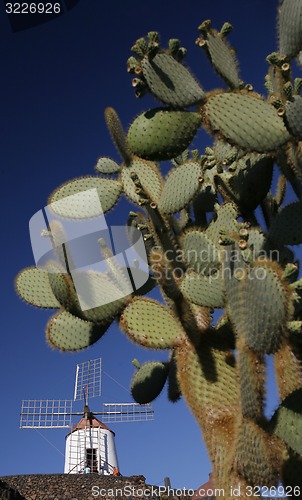 Image of EUROPE CANARY ISLANDS LANZAROTE