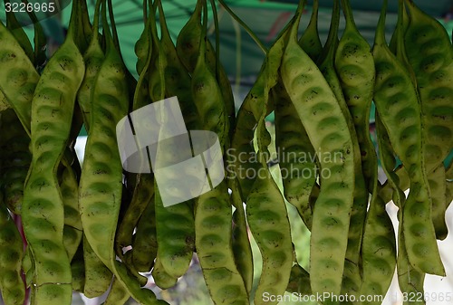 Image of ASIA THAILAND PHUKET MARKT 