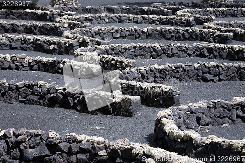 Image of EUROPE CANARY ISLANDS LANZAROTE