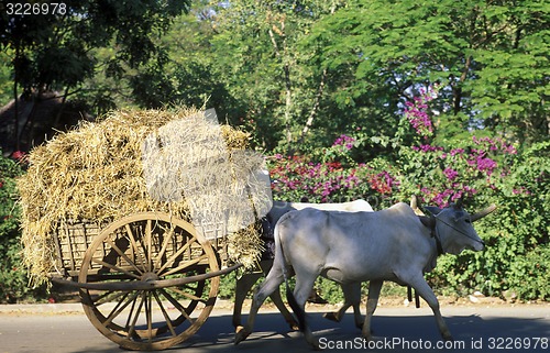 Image of CAMBODIA 