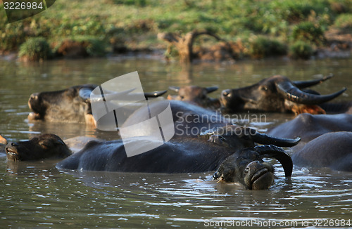 Image of ASIA SOUTHEASTASIA LAOS KHAMMUAN REGION