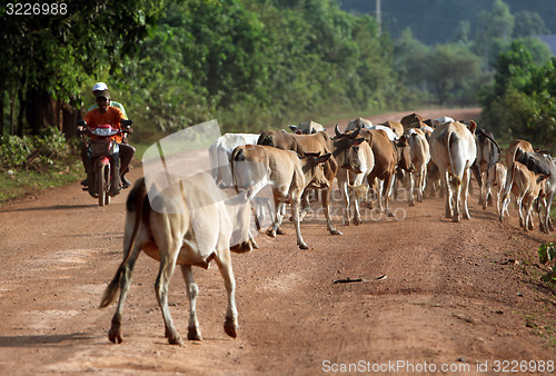 Image of ASIA SOUTHEASTASIA LAOS KHAMMUAN REGION