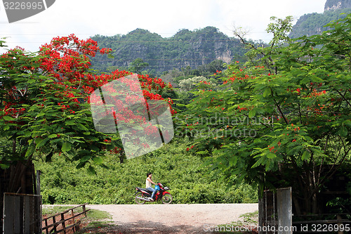 Image of ASIA SOUTHEASTASIA LAOS KHAMMUAN REGION