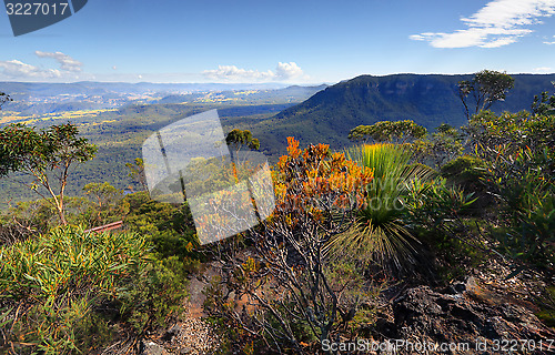 Image of Narrowneck to Nellies Glen and Megalong Valley