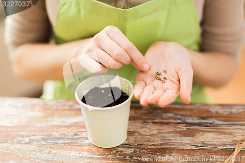 Image of close up of woman sowing seeds to soil in pot