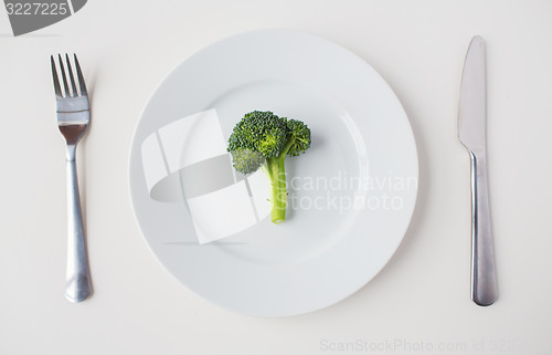 Image of close up of broccoli on plate