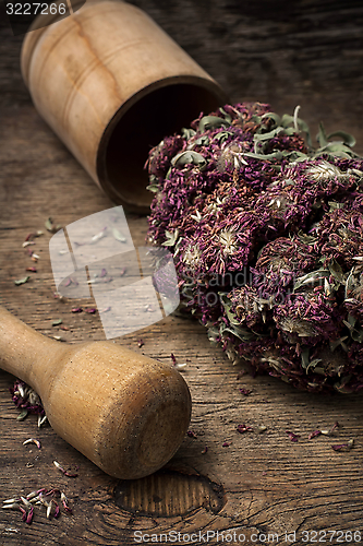 Image of medicinal herb