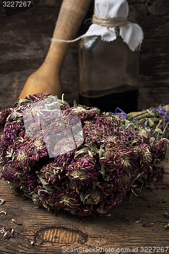 Image of medicinal herb