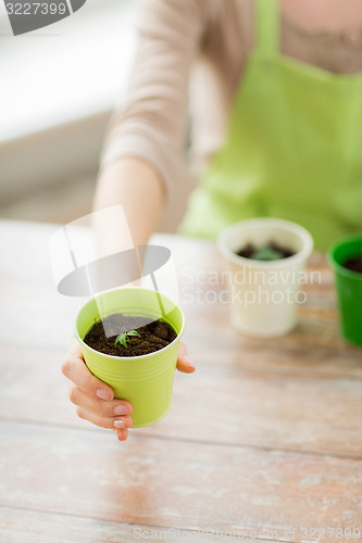 Image of close up of woman hand holding pot with sprout