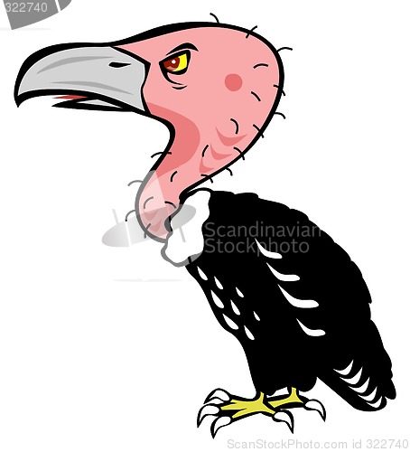 Image of Vulture