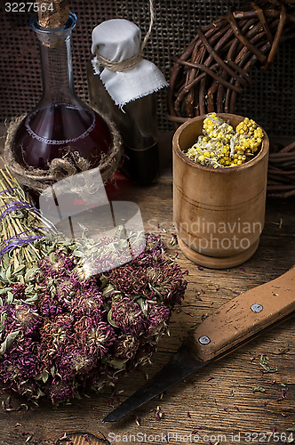 Image of medicinal herb