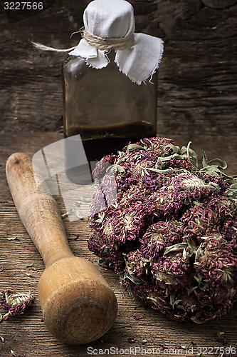 Image of medicinal herb