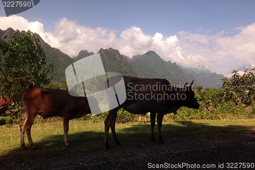 Image of ASIA SOUTHEASTASIA LAOS VANG VIENG LUANG PRABANG