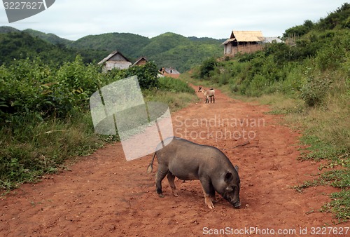 Image of ASIA SOUTHEASTASIA LAOS VANG VIENG LUANG PRABANG