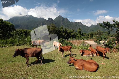 Image of ASIA SOUTHEASTASIA LAOS VANG VIENG LUANG PRABANG