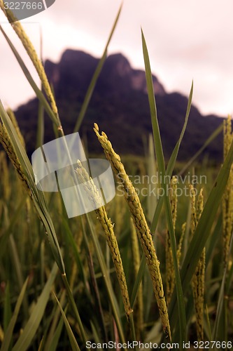 Image of ASIA SOUTHEASTASIA LAOS VANG VIENG LUANG PRABANG