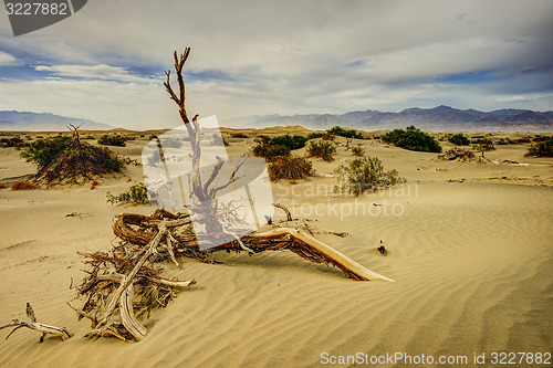 Image of dunes, death valley, ca