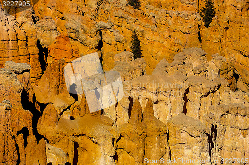 Image of bryce canyon, ut