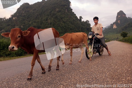 Image of ASIA SOUTHEASTASIA LAOS VANG VIENG LUANG PRABANG