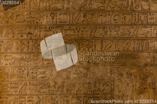 Image of Hieroglyph