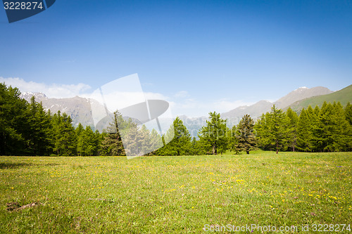 Image of Italian Alps