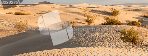 Image of Death Valley Desert