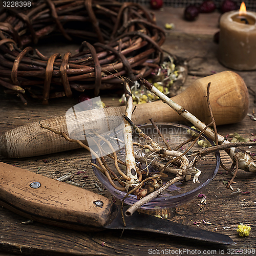 Image of medicinal root