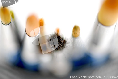 Image of Paintbrushes macro