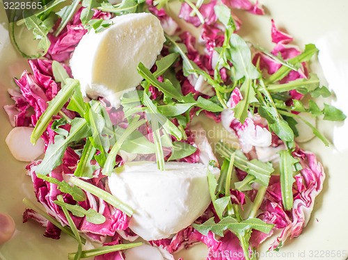 Image of Lettuce salad