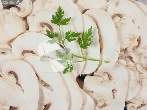 Image of Champignon mushroom background