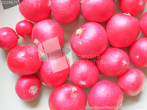 Image of Radish vegetable 