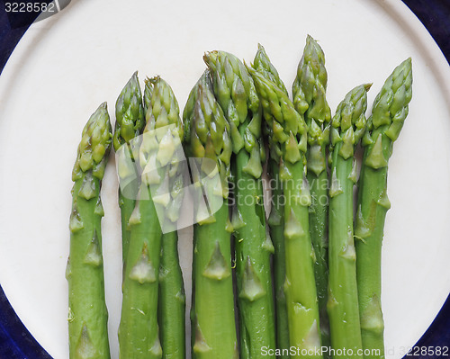 Image of Asparagus vegetable