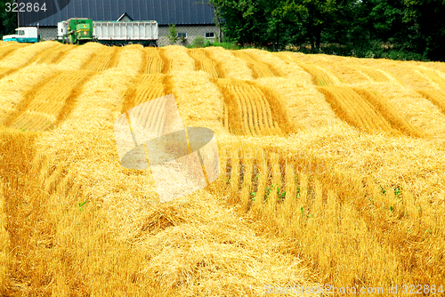 Image of Harvest farm field