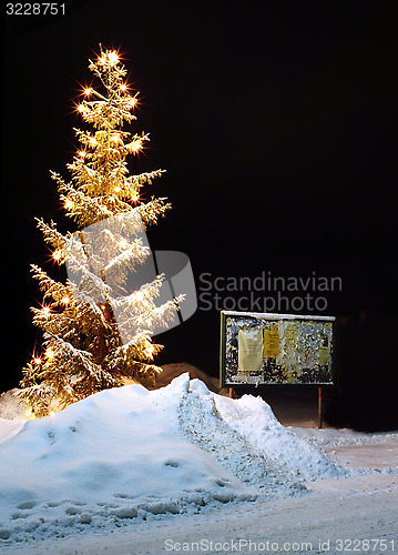 Image of Christmas tree in snowy surroundings.